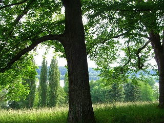 Island Mainau, Germany