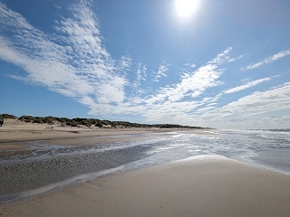 Aloha Beach, Netherlands