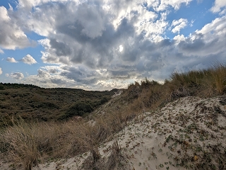 Aloha Beach, Netherlands