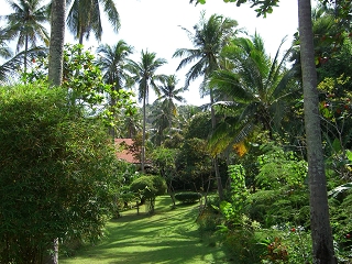 Island Lone, Thailand
