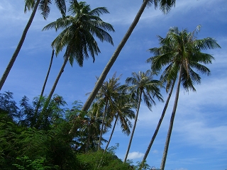 Island Lone, Thailand
