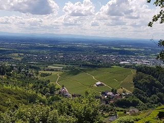 Schwarzwald