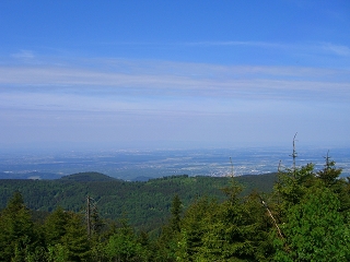 Schwarzwald