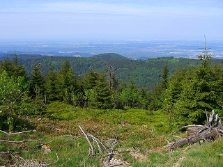 Schwarzwald