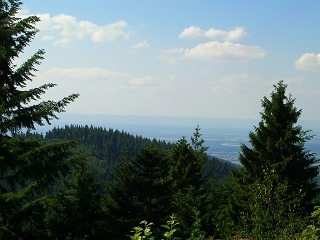 Schwarzwald