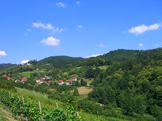 Schwarzwald