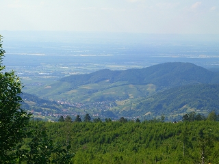 Schwarzwald